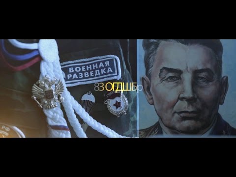 Видео: 83 ОГДШБр / Дембель / День ВДВ 2015 / Уссурийск