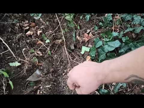 Видео: Как да разбера дали имам  магия.Как да проверим дали имаме направена магия.Направена ви е магия.