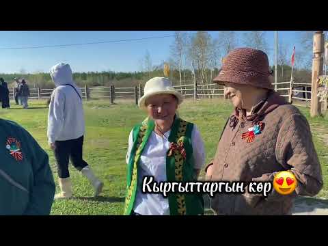 Видео: Бэстээх илин энэр түөлбэ оһуохайыгар айан