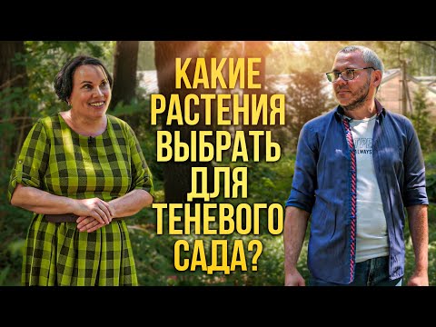 Видео: Какие растения выбрать для теневого сада?