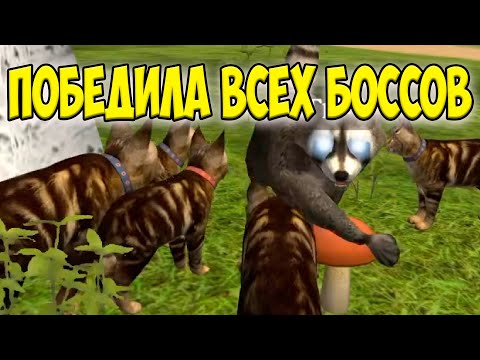 Видео: 😻Симулятор КОТА и КОШКИ🐾ПОБЕДИЛА всех БОССОВ в СИМЕ cat sim