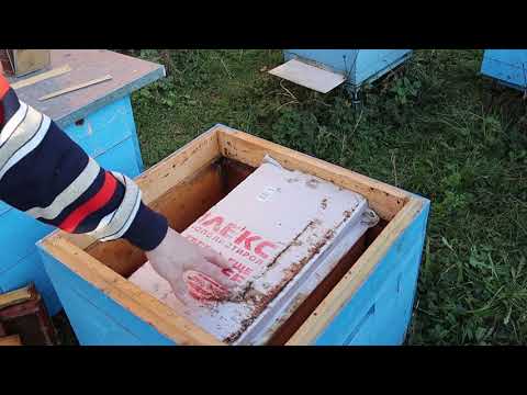 Видео: СУПЕР ВЕНТИЛЯЦИЯ УТЕПЛЯЕМ УЛЬЯ НА ЗИМУ, глухое дно...