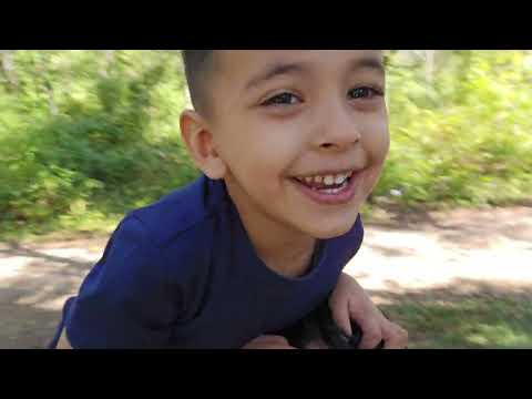 Видео: 27 сентября 2025.