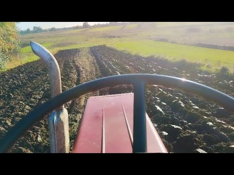 Видео: Оранка трактор Т-25 і плугом бомет 2-25🚜Земля мокра трактор тяне 💪