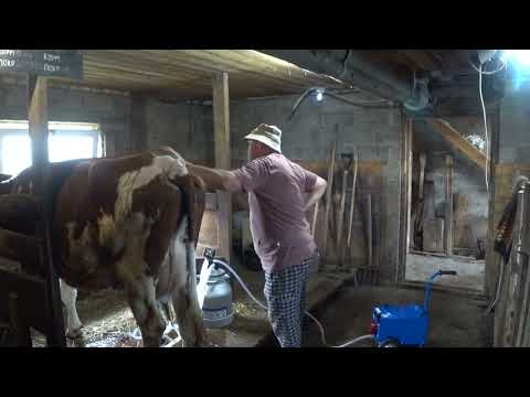 Видео: Доильный аппарат АДЭ-06 . Первые впечатления .