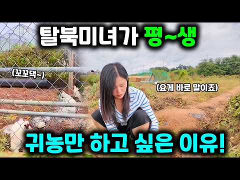 Видео: Северокорейская красавица, сбежавшая из Камбоджи, пробует северокорейскую еду, приготовленную ее ...