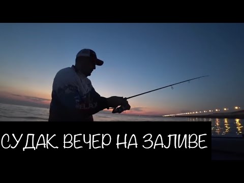 Видео: Спонтанная рыбалка на Финском заливе. Дамба. Кронштадт.