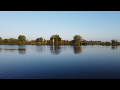 Видео: Рыбалка в Голландии на Маасе. Ловля Судака.