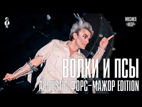 Видео: Ярослав Баярунас - Волки и псы (acoustic форс-мажор edition) (мюзикл «Икар»)