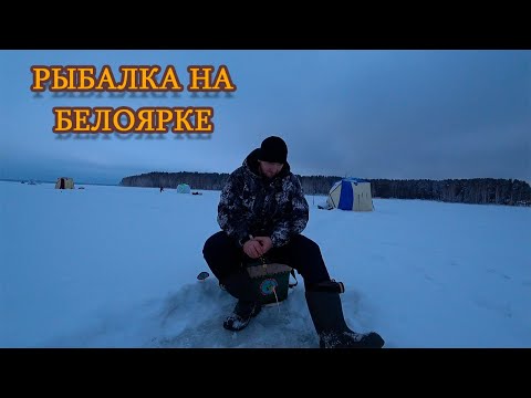 Видео: Рыбалка на БЕЛОЯРКЕ. Зимняя рыбалка 2022. ловим подлещика