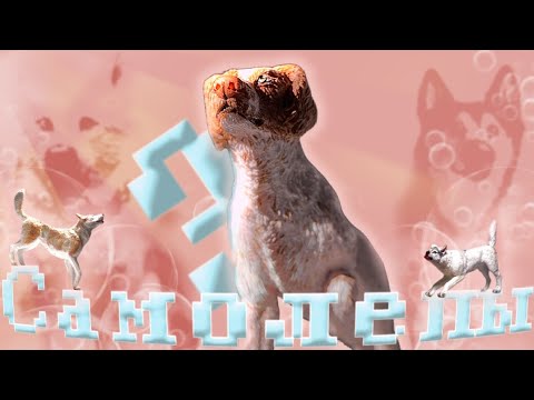 Видео: Моя коллекция САМОЛЕПОВ собак/волков (3 часть)