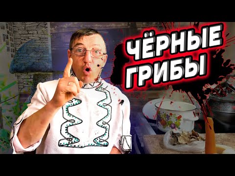 Видео: А ТЫ ЕЛ ЧЁРНЫЕ ГРИБЫ! Супчик из Чёрных Питерских грибов