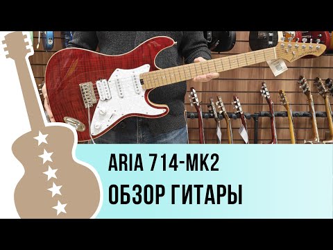 Видео: Aria 714-MK2 - обзор гитары