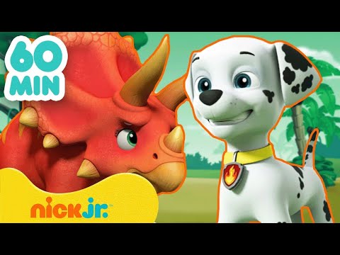 Видео: Щенячий патруль | 60 МИН. новых серий "Щенячьего патруля"! | Nick Jr. Cyrillic