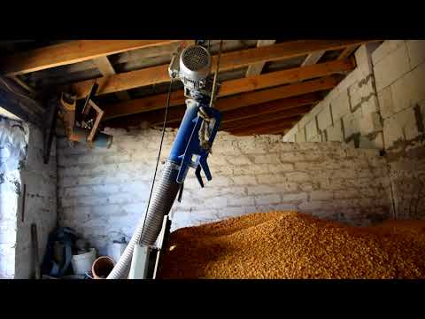 Видео: Обкатка Навантажувача на кукурудзі