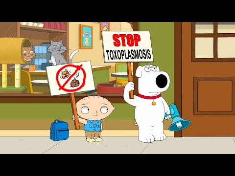 Видео: ГРИФФИНЫ - САМАЯ СМЕШНАЯ СЕРИЯ! НОВЫЕ И СТАРЫЕ СЕРИИ В HD