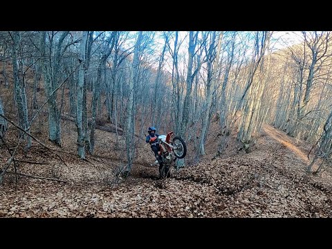 Видео: Ендуро Лъжница 18.02.24