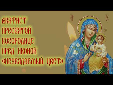 Видео: Акафист Пресвятой Богородице пред иконой «Неувядаемый цвет»