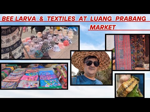 Видео: Bienenlarven und Stoffe aufm Markt von Luang Prabang //Личинки пчел и ткани на рынке Луанг Прабанга