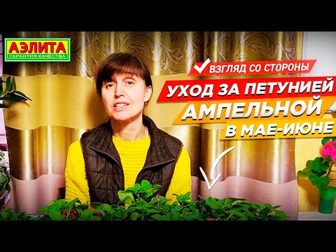 Видео: Уход за Петунией Ампельной. Посадили в Январе, что Выросло в Мае?