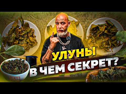 Видео: Улун - в чём фишка?