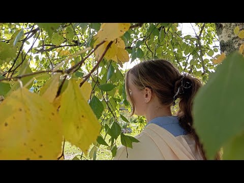 Видео: 9 кругов... 😁9 класс🙃 /ВЛОГ/1 часть😍