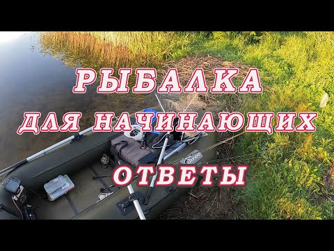 Видео: Рыбалка для начинающих! КАК ЛОВИТЬ! НА ЧТО! Лучшая приманка! Рыбалка с Ответами!