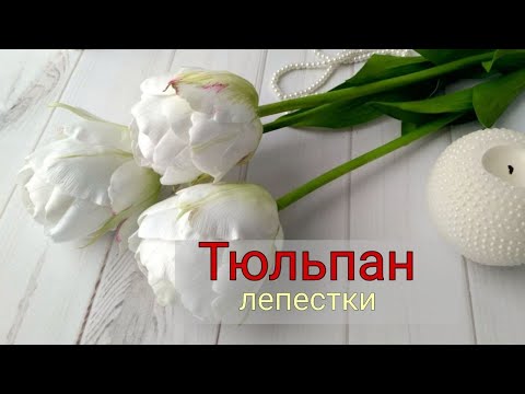 Видео: Подготовка и окрашивание лепестков | мк тюльпан из фоамирана