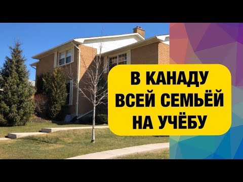 Видео: Приехали в Канаду с детьми, привезли собаку, жили в подвале, купили машину, устраиваются в Лондоне