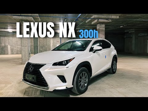 Видео: LEXUS NX300h из Китая | Чья сборка?