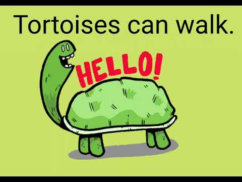 Видео: Модальный глагол CAN для детей.