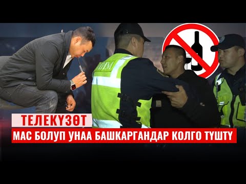 Видео: Мас болуп унаа башкаруу - кылмыш!