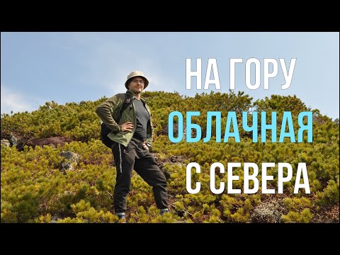 Видео: На гору Облачная, маршрут с севера  (Приморский край, Чугуевский район) май 2022