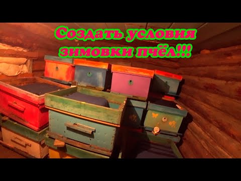 Видео: ПЧЕЛОВОД СДЕЛАЙ КОМФОРТНЫЕ УСЛОВИЯ ДЛЯ ХОРОШЕЙ ЗИМОВКИ В ОМШАННИКЕ.