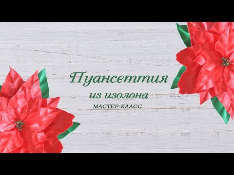 Видео: РОСТОВАЯ ПУАНСЕТТИЯ ИЗ ИЗОЛОНА. Бесплатный мастер-класс!