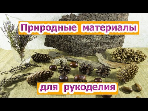 Видео: DIY -Моя заготовка природных материалов|Природные материалы для рукоделия