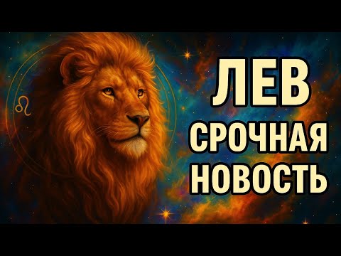 Видео: Лев — срочная новость! Судьба готовит поворот, который изменит всё. Ваше время настало.