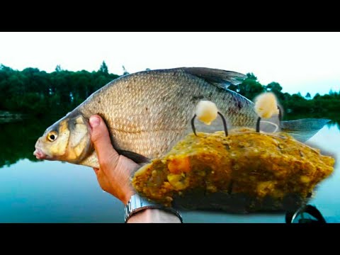 Видео: Рыбалка на Соже. Ловля на пенопласт и сало!