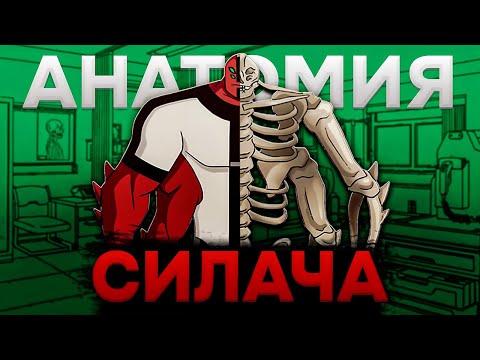 Видео: Анатомия легендарного Силача! Бен 10! #бен10 #ben10classic #анатомия