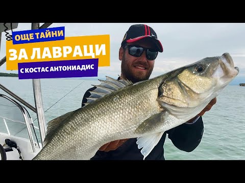 Видео: Още СКРИТИ ТАЙНИ за ЛАВРАЦИ с Костас Антониадис / Пролетта на лавраците -" 2 част