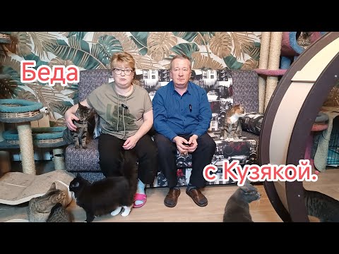 Видео: Беда с Кузякой. 