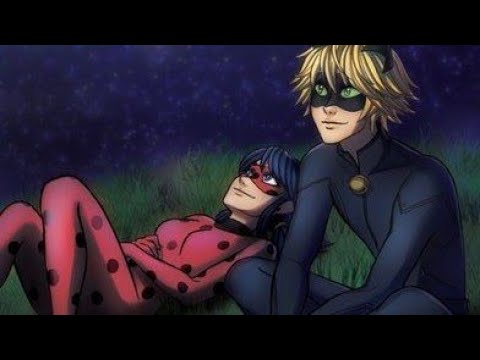 Видео: Леди Баг и Супер Кот - Зая