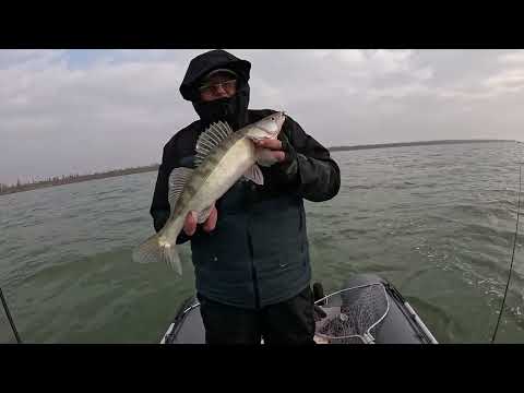 Видео: РЫБАЛКА НА МАНЫЧЕ. ТРУДОВАЯ РЫБАЛКА. ПОЕХАЛИ ЗА ЩУКОЙ.