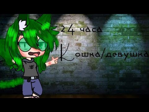 Видео: 24 часа/вару кошка--девушка/