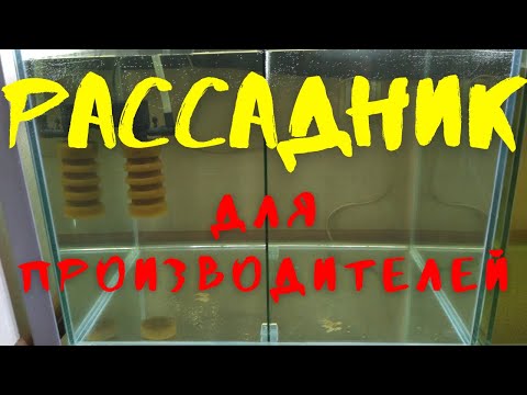 Видео: РАССАДНИК ДЛЯ ПРОИЗВОДИТЕЛЕЙ.  НЕМНОГО О ЖЁСТКОСТИ ВОДЫ.
