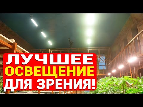 Видео: Какие лампы покупать для хорошего зрения?
