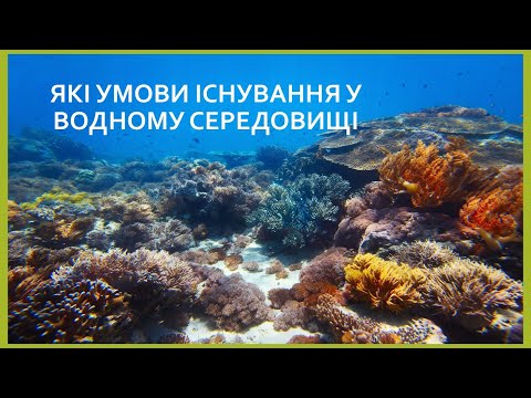 Видео: Які умови існування у водному середовищі