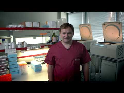 Видео: Геномная селекция. Программа "Наука" #65