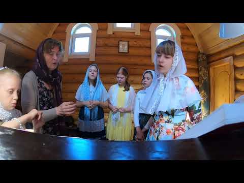 Видео: Херувимская Сергиевская . Запись со службы.