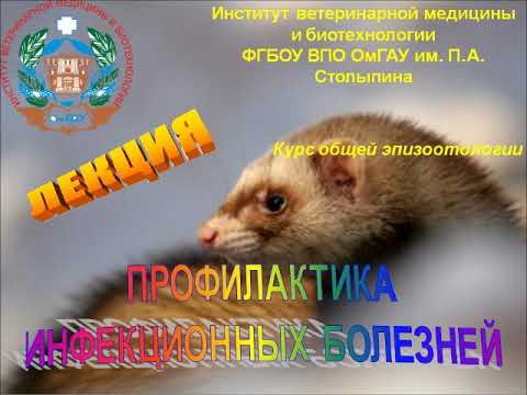 Видео: Видеозанятие 8. Профилактика инфекционных болезней